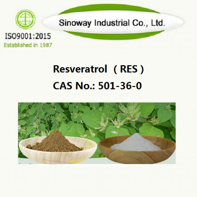 resveratrol extract powder
